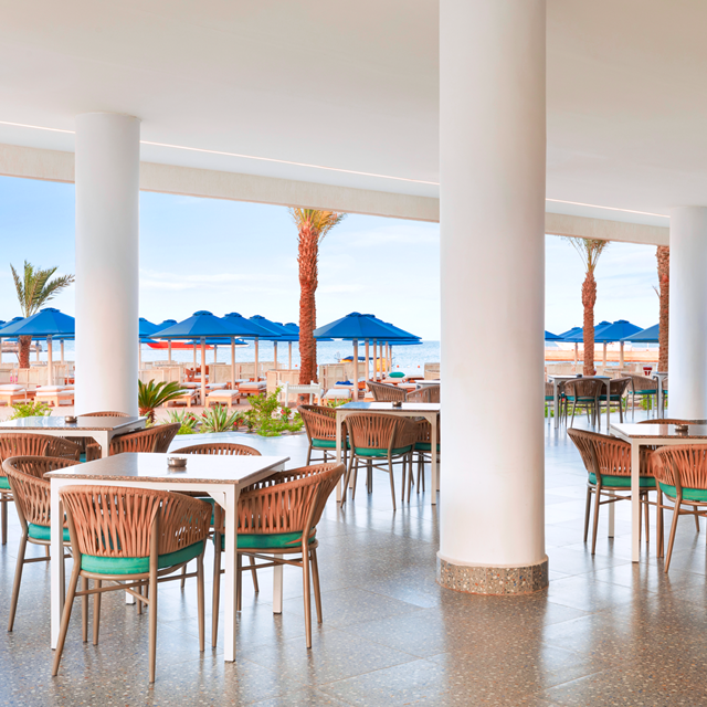 Hôtel Beach Albatros Resort photo 3