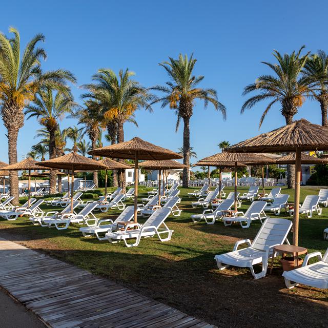 Hôtel Miracle Resort photo 20