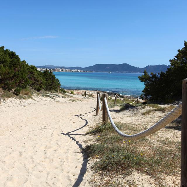 Hôtel Iberostar Cala Millor - réservé aux adultes photo 16