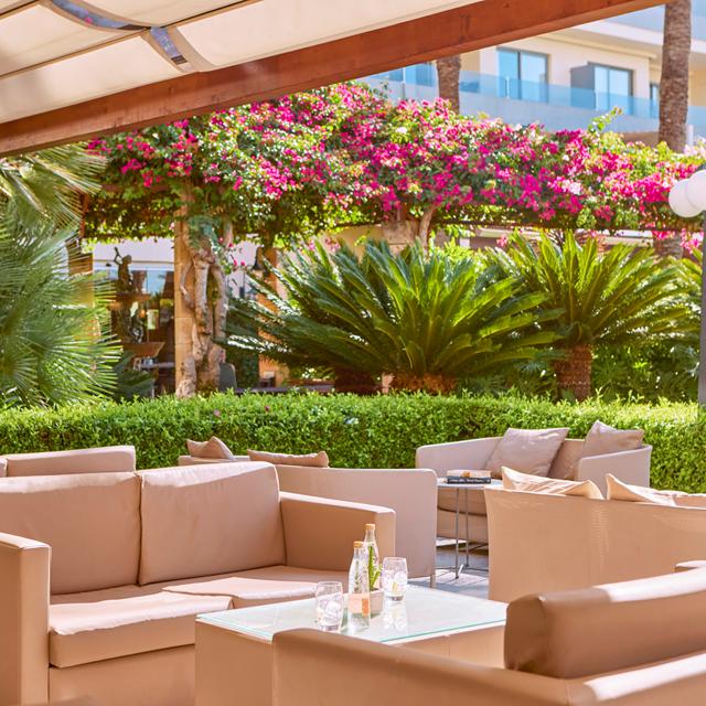 Zafiro Palmanova & Spa photo 19