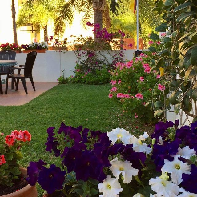 Hôtel Carmen Teresa photo 10