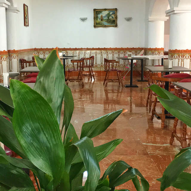 Hôtel Carmen Teresa photo 6