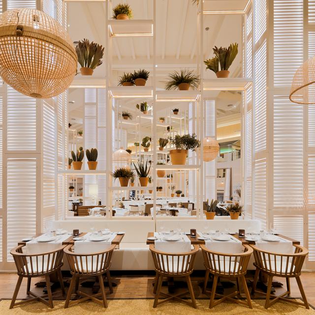 Hôtel H10 Conquistador photo 11