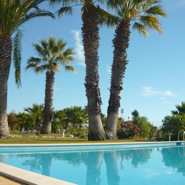 Praia da Lota Hôtel photo 4