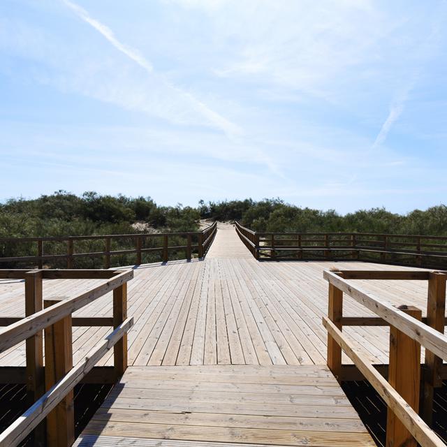 Praia da Lota Hôtel photo 6