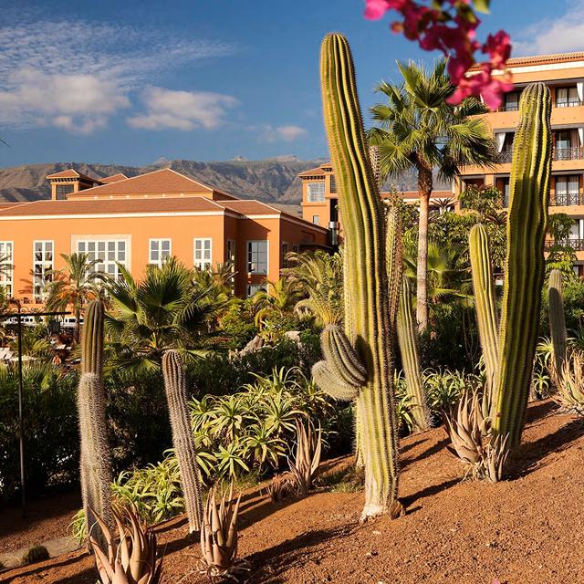 Hôtel H10 Costa Adeje Palace photo 24