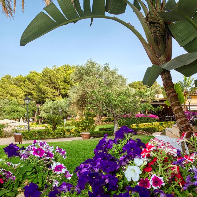 Caprice Vell Mari Hotel & Resort photo 10