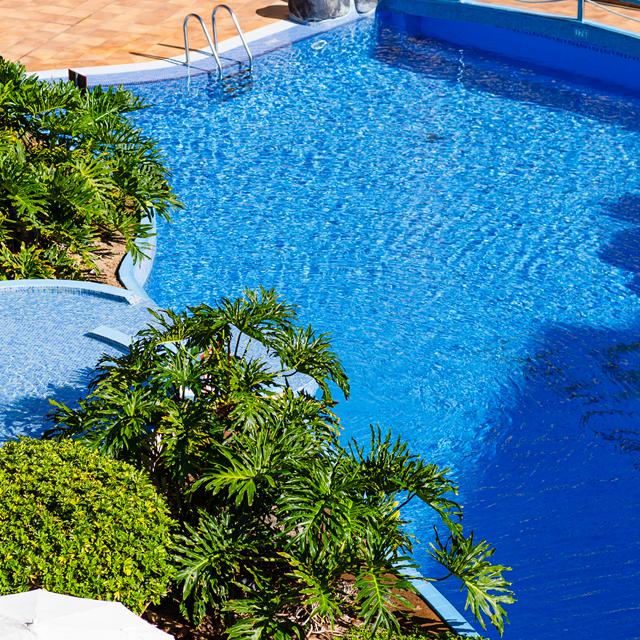 HOVIMA Jardín Caleta photo 1