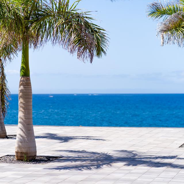 HOVIMA Jardín Caleta photo 19