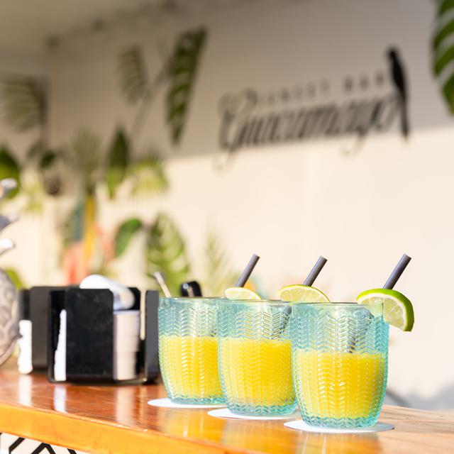 HOVIMA Jardín Caleta photo 6