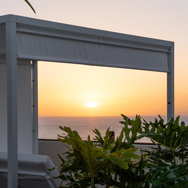 HOVIMA Jardín Caleta photo 23