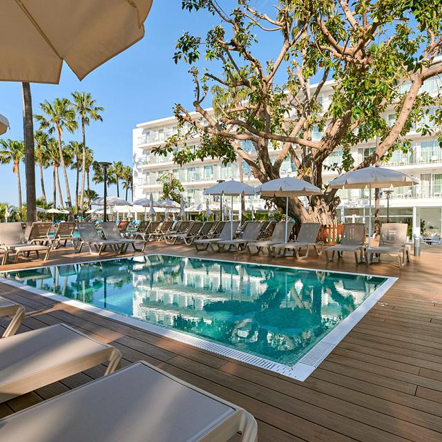 Alua Boccaccio photo 11