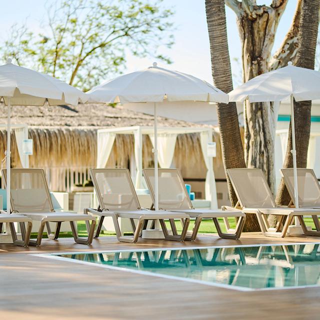 Alua Boccaccio photo 1