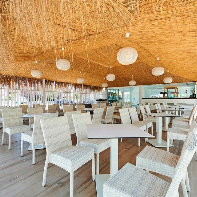 Alua Boccaccio photo 5