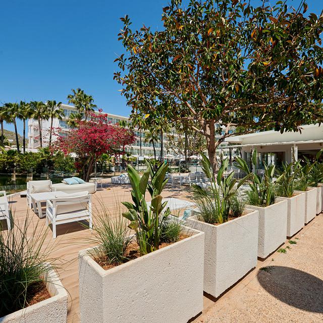 Alua Boccaccio photo 10