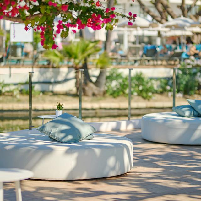 Alua Boccaccio photo 9