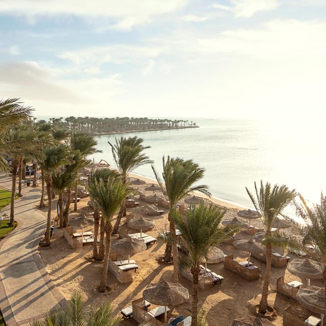 Hôtel Palm Royale Soma Bay Resort photo 4