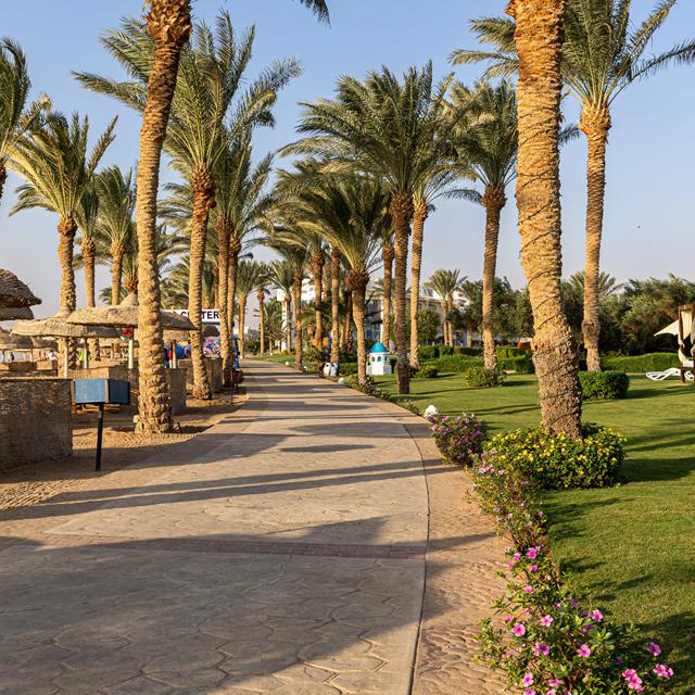 Hôtel Palm Royale Soma Bay Resort photo 15