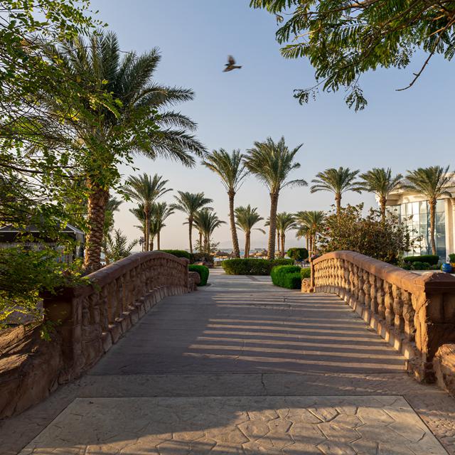 Hôtel Palm Royale Soma Bay Resort photo 11