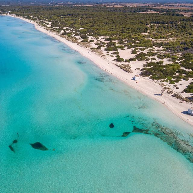 Blau Colonia Sant Jordi photo 21