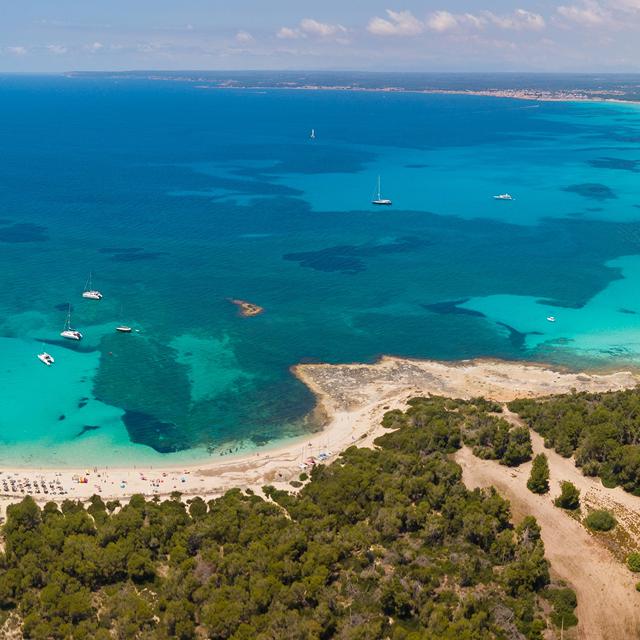 Blau Colonia Sant Jordi photo 20