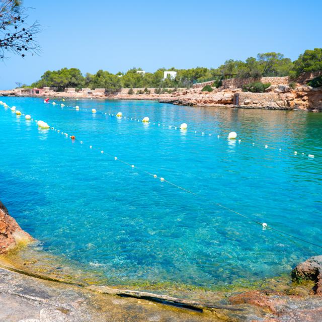 TRS Ibiza Hôtel & The Signature Level - Réservé aux adultes photo 35