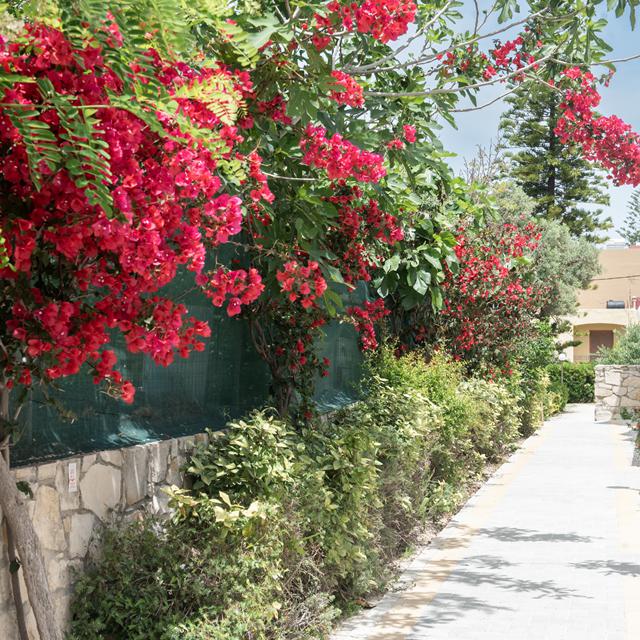 Sirios Village photo 17