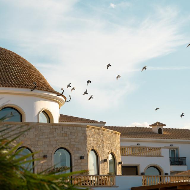 Hôtel Mitsis Selection Laguna photo 11