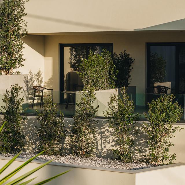 Iskios Suites - adults only photo 7