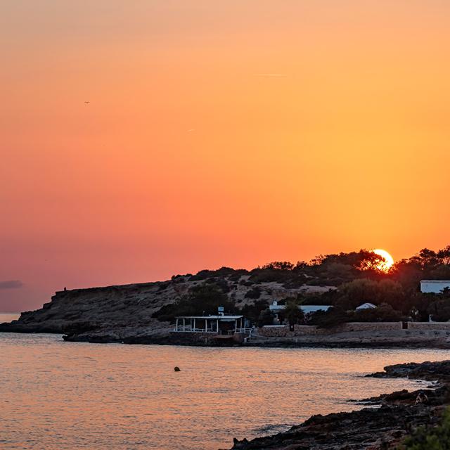 Sol Bahia Ibiza Suites photo 21