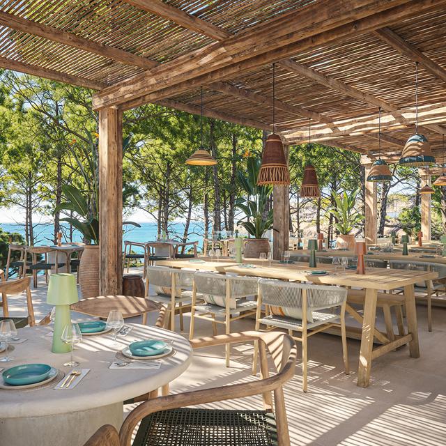 Iberostar Waves Pinos Park photo 20