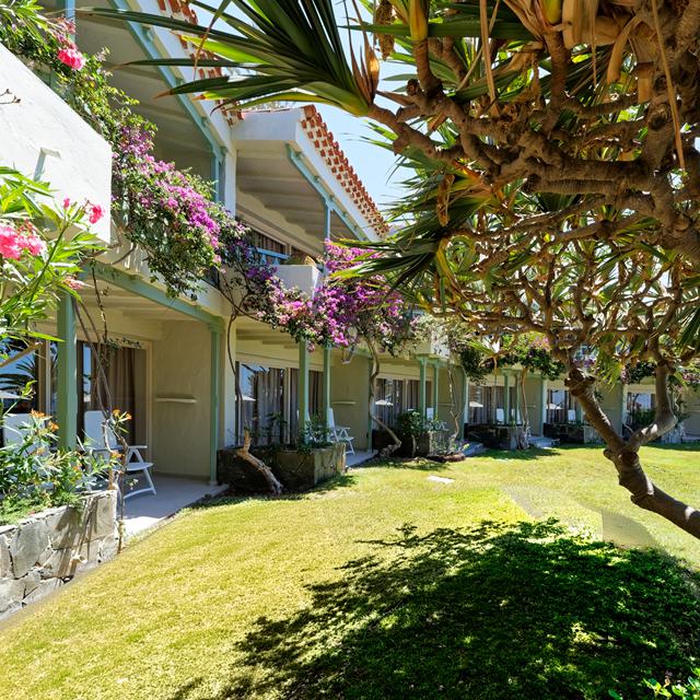 Bull Boutique Casas Carmen photo 28
