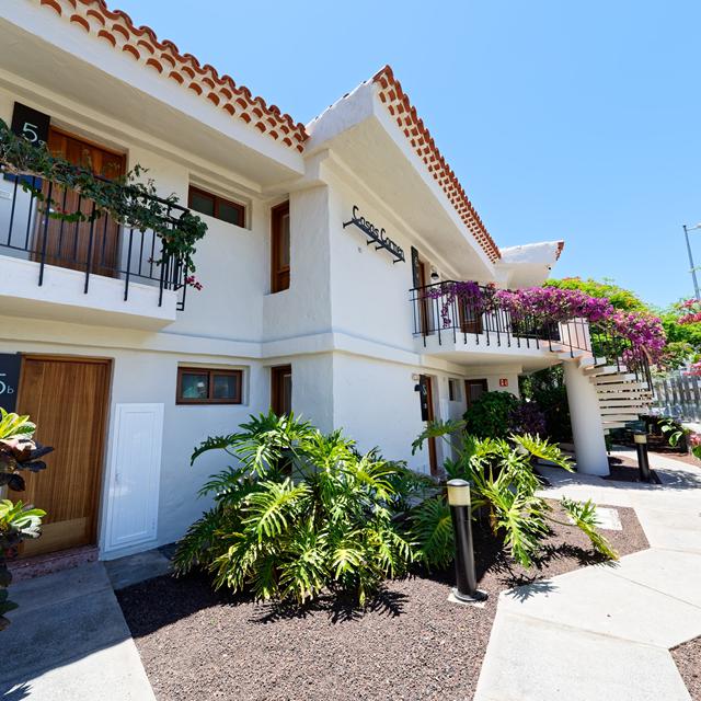 Bull Boutique Casas Carmen photo 4