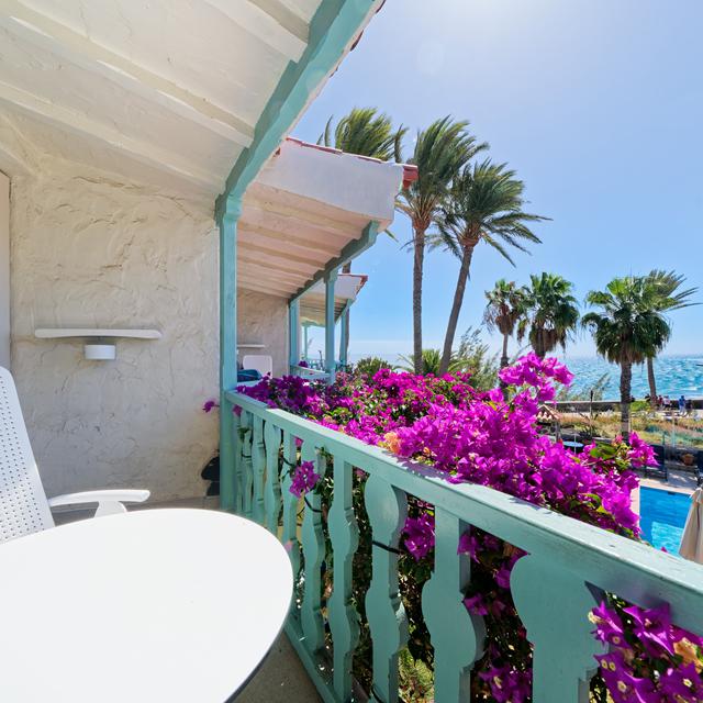 Bull Boutique Casas Carmen photo 6