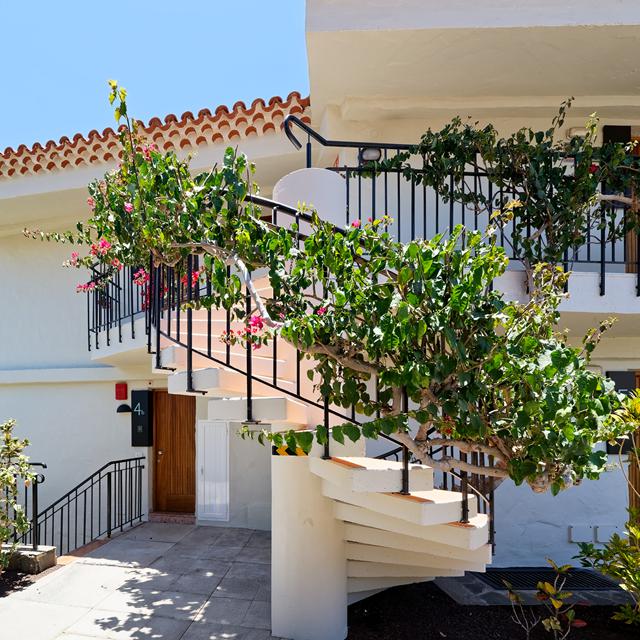 Bull Boutique Casas Carmen photo 12