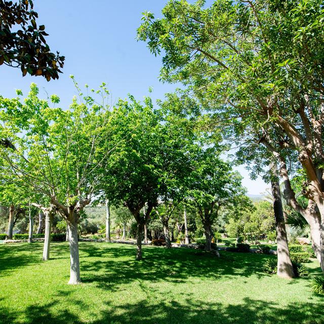 Club Cala Romani photo 29