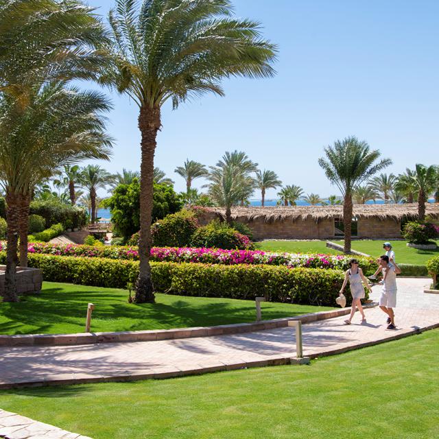Hôtel Fort Arabesque Resort photo 4