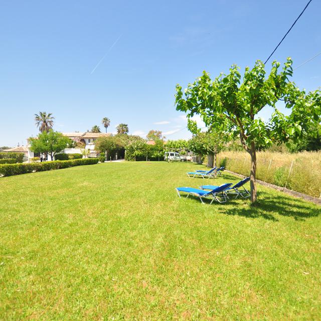 Appartements Alexandra on the Beach photo 5