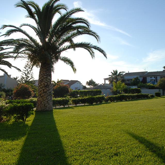 Appartements Alexandra on the Beach photo 7