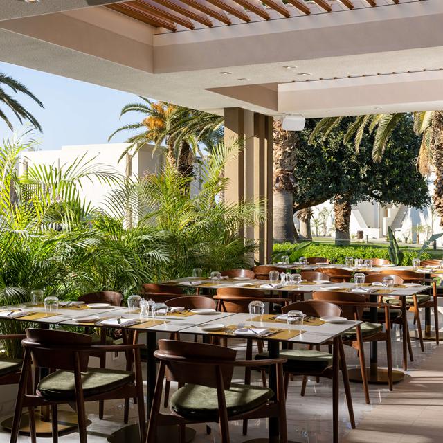 Hôtel Agapi Beach Resort photo 8