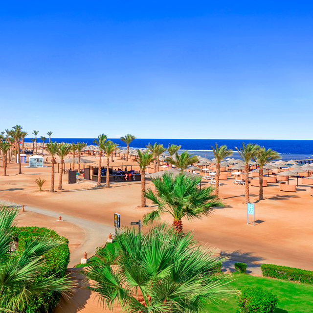 Hôtel Pickalbatros Sands Port Ghalib - Soleil en hiver photo 10