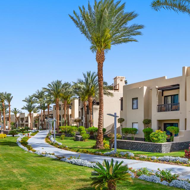 Hôtel Pickalbatros Sands Port Ghalib - Soleil en hiver photo 4