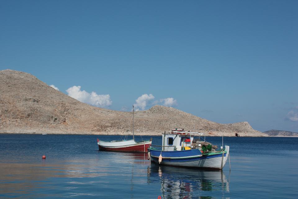 Ixia Photo : 2 sur 4