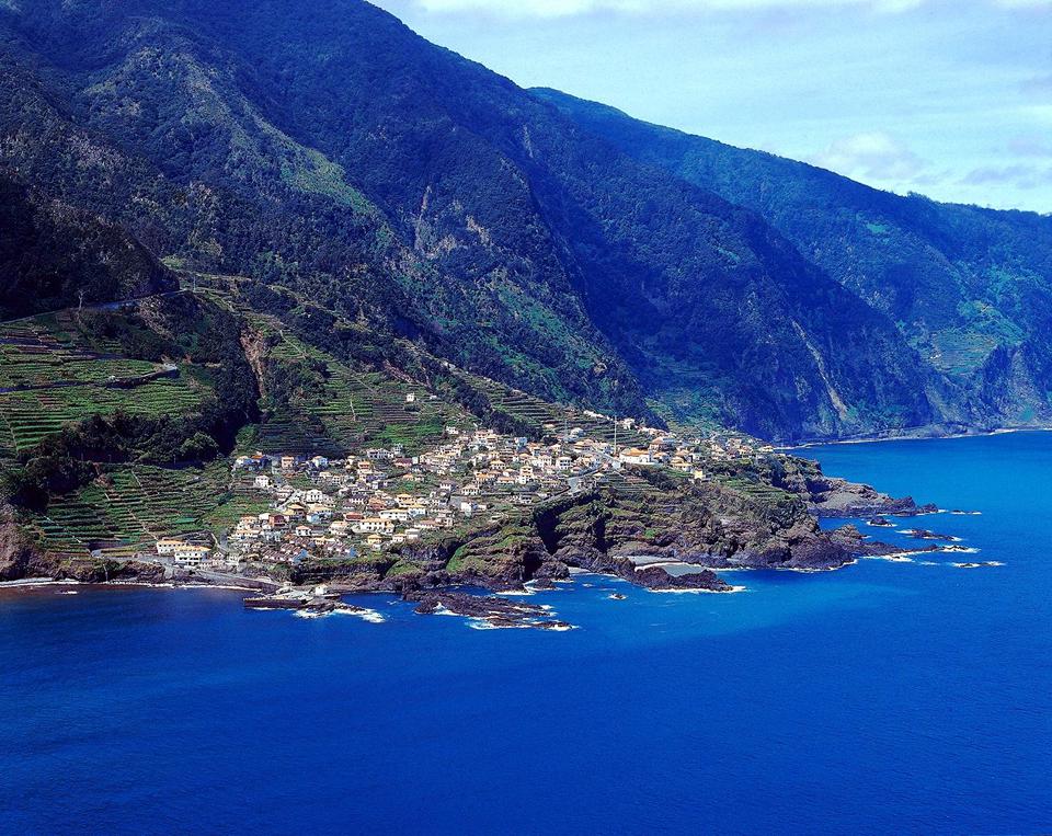 Caniço Photo : 2 sur 4