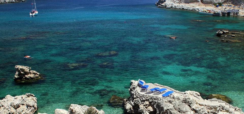 Ixia Photo : 1 sur 4