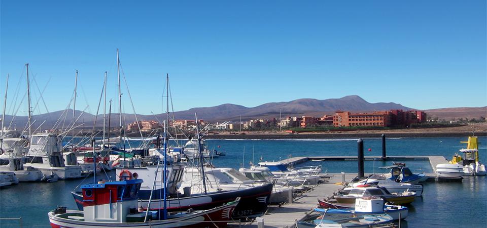 Caleta de Fuste Photo : 4 sur 14