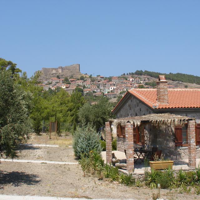 Appartements Villa's Elpiniki photo 14