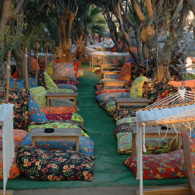 Hôtel Okaliptus photo 5