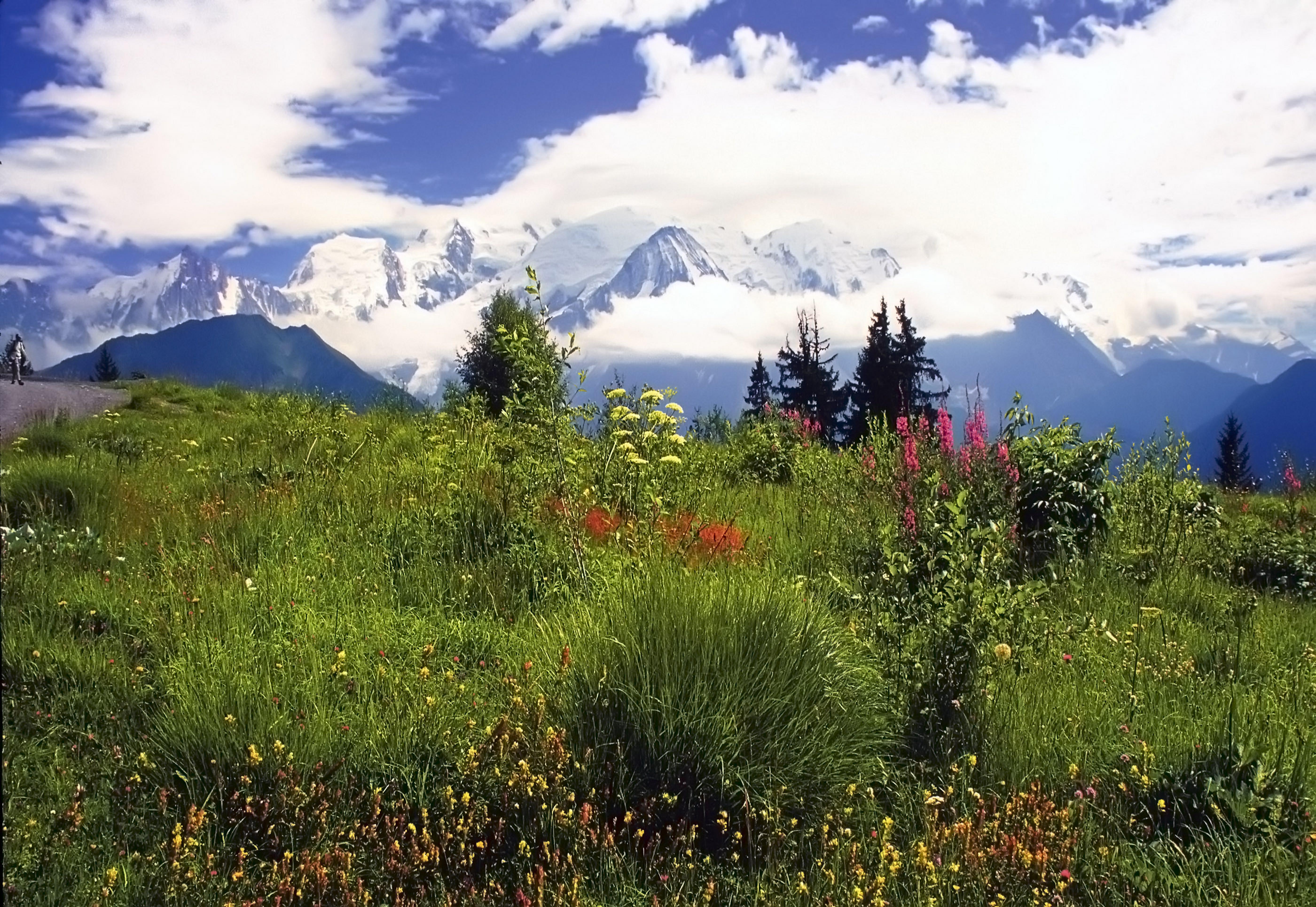 Alpes francaises