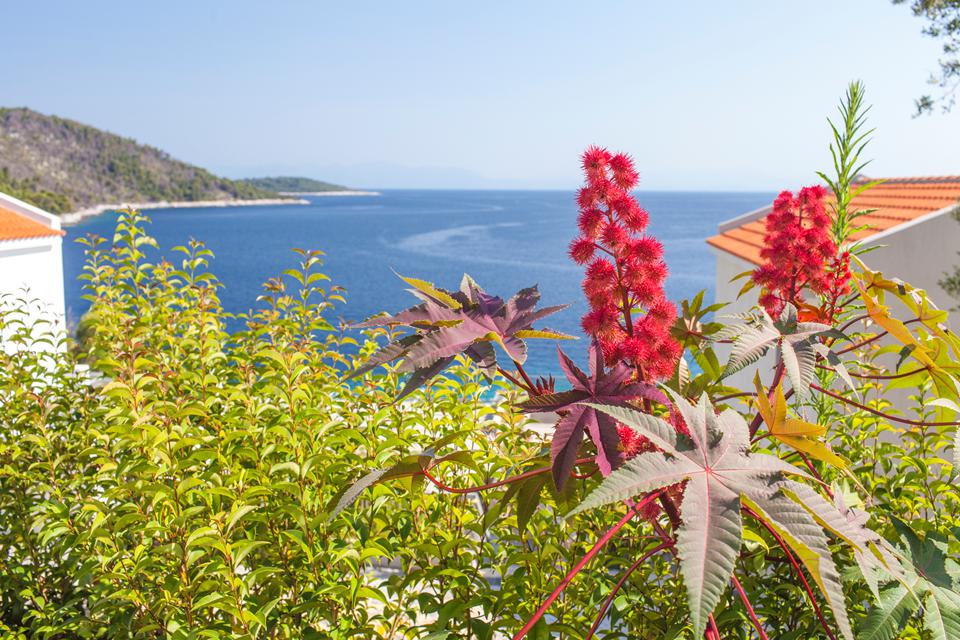 Skopelos Photo : 5 sur 5